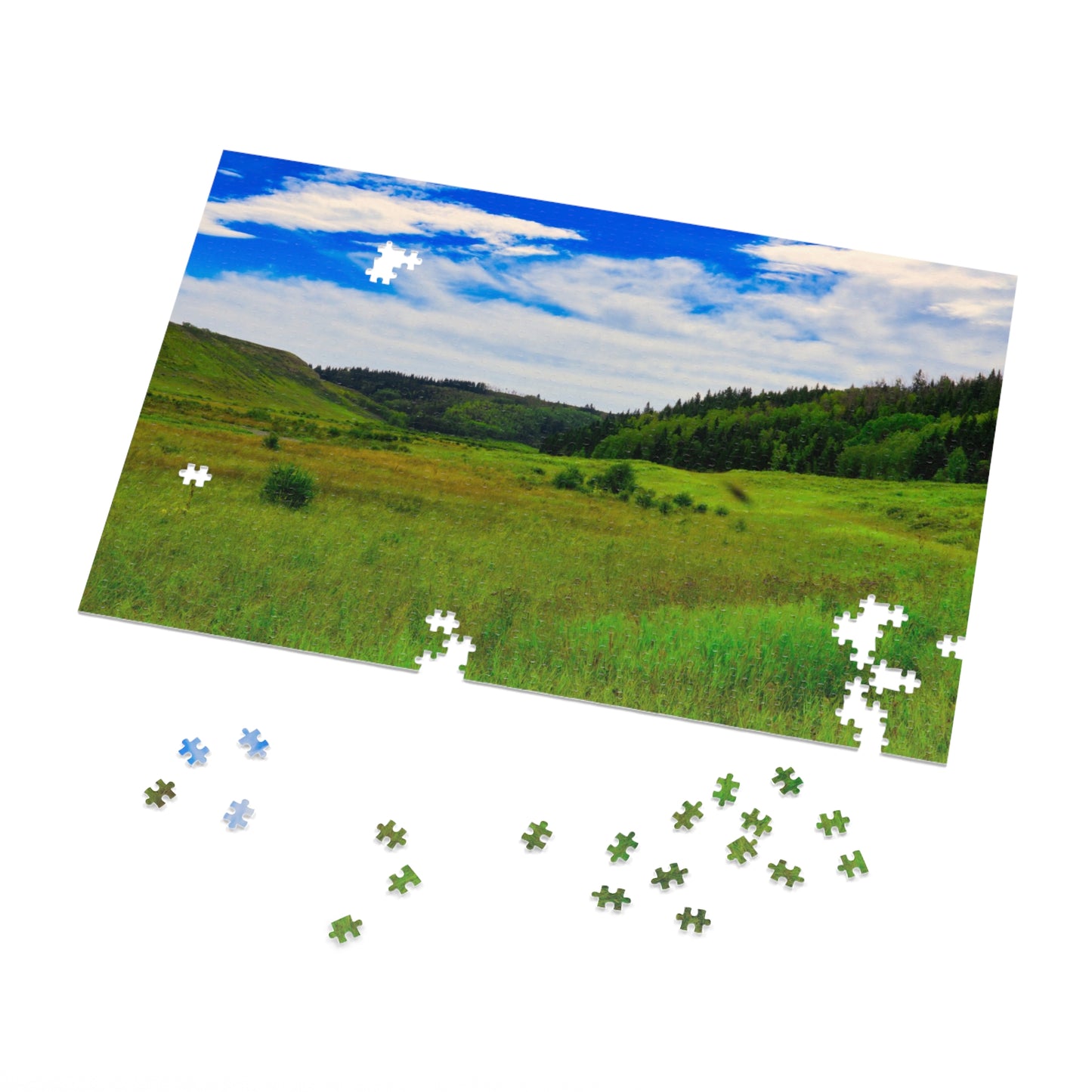Jigsaw Puzzle - Big Hill Springs Park Entrance