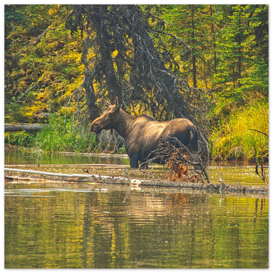 96ad67a4-8b87-4fb0-b5a1-232e1d068025