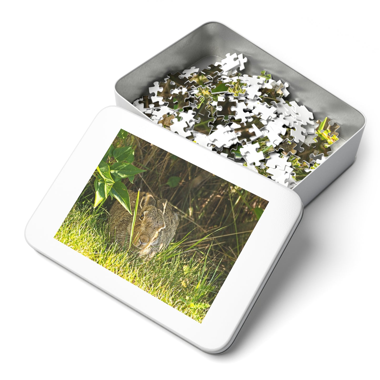Jigsaw Puzzle (30, 110, 252, 500,1000-Piece) - Rabbit