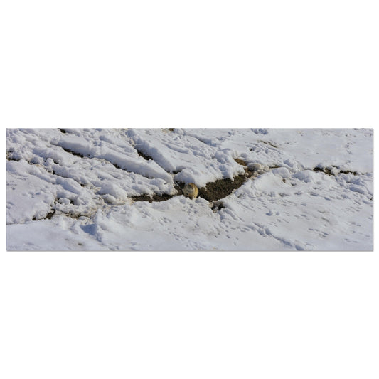 98c6d51a-052e-4d1c-9bee-34cda5f48dcf