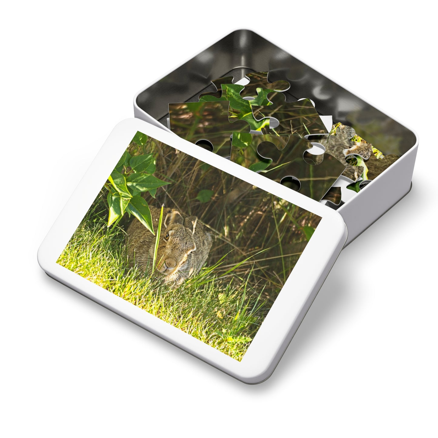 Jigsaw Puzzle (30, 110, 252, 500,1000-Piece) - Rabbit