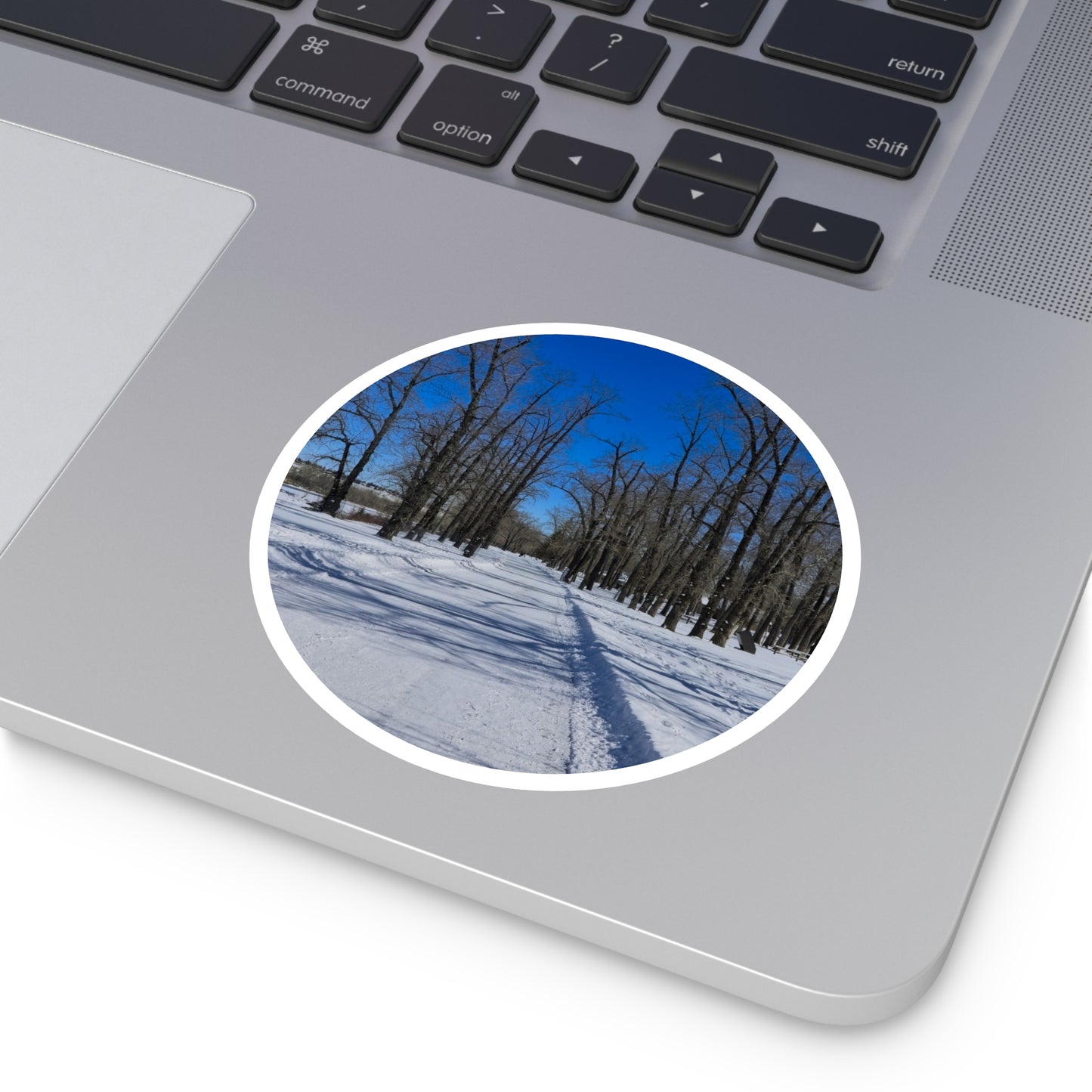 Round Stickers - Bowness Park Pathway Winter
