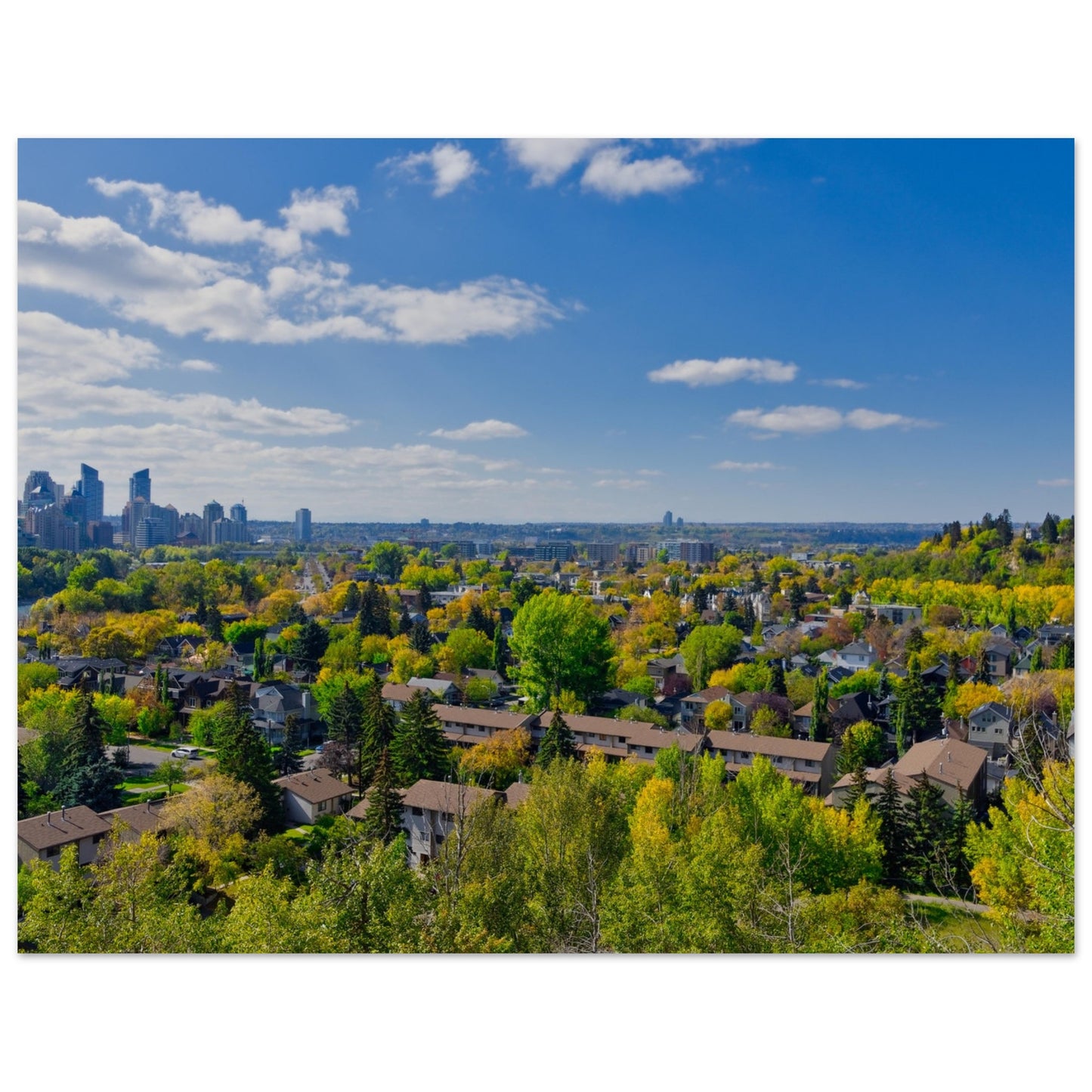Premium Semi-Glossy Poster Print - McHugh Bluff Fall