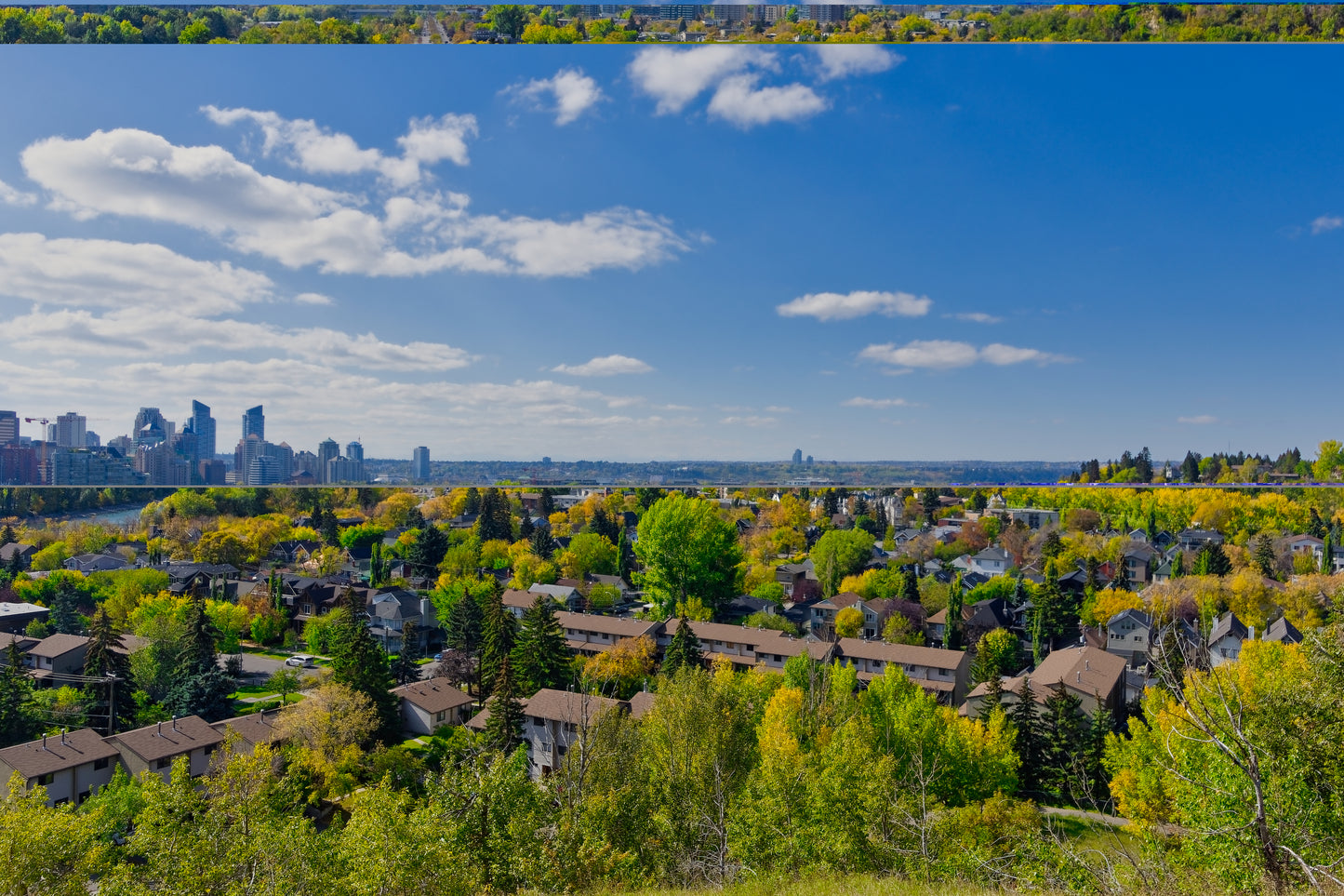 McHugh Bluff Fall Digital Download