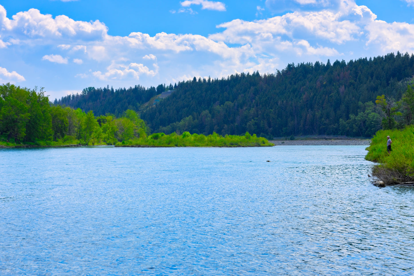 Edworthy Park Bow River Digital Download