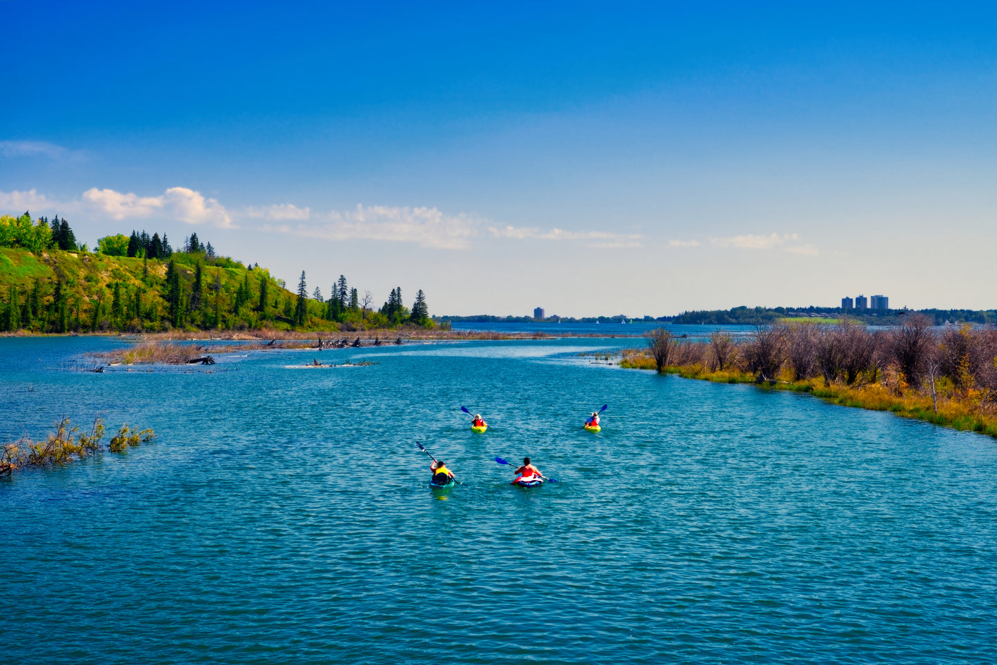 Elbow River Weaselhead Digital Download