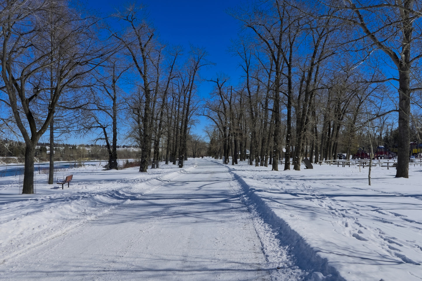 Bowness Park Pathway Winter Digital Download