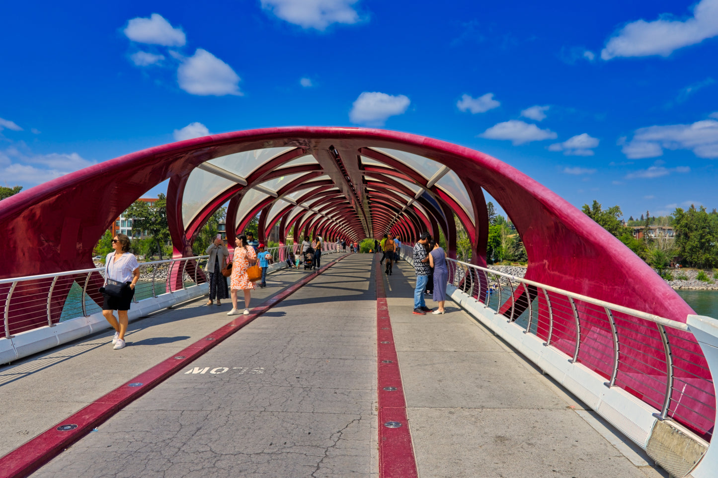 Calgary Peace Bridge Digital Download