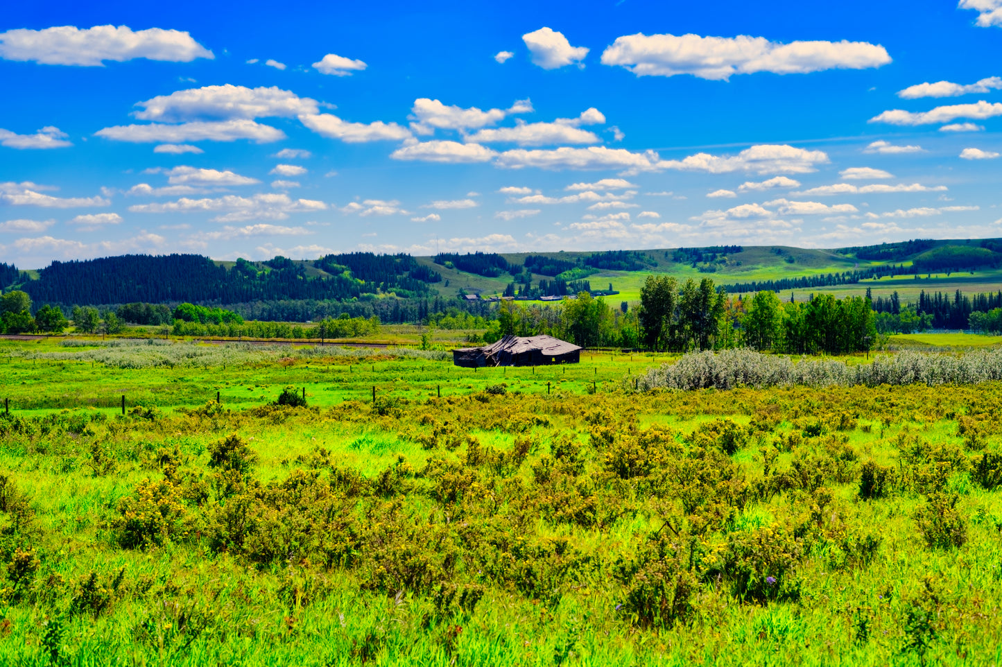 Glenbow Ranch Provincial Park Digital Download