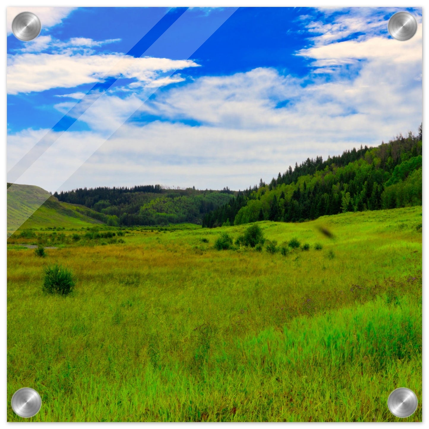 a0a29235-2b83-419d-8d0d-e4efbbf02296