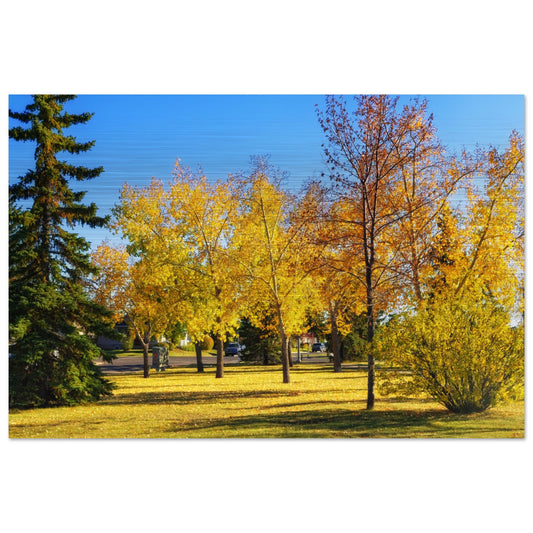 a2098f13-84e4-4bc9-bd0f-8caeb112c411