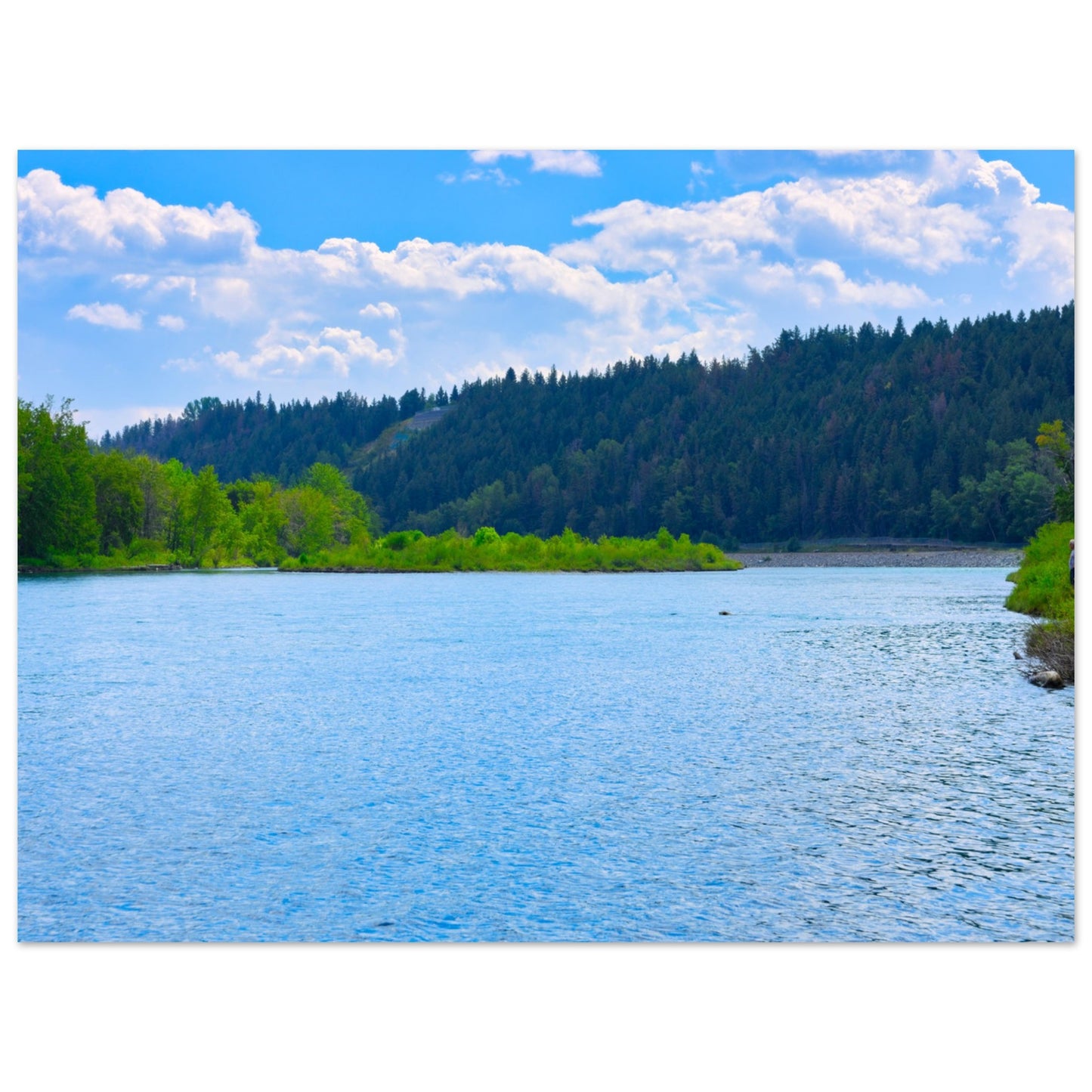 a4d10174-3dee-48df-a86e-79896f0cd4b6
