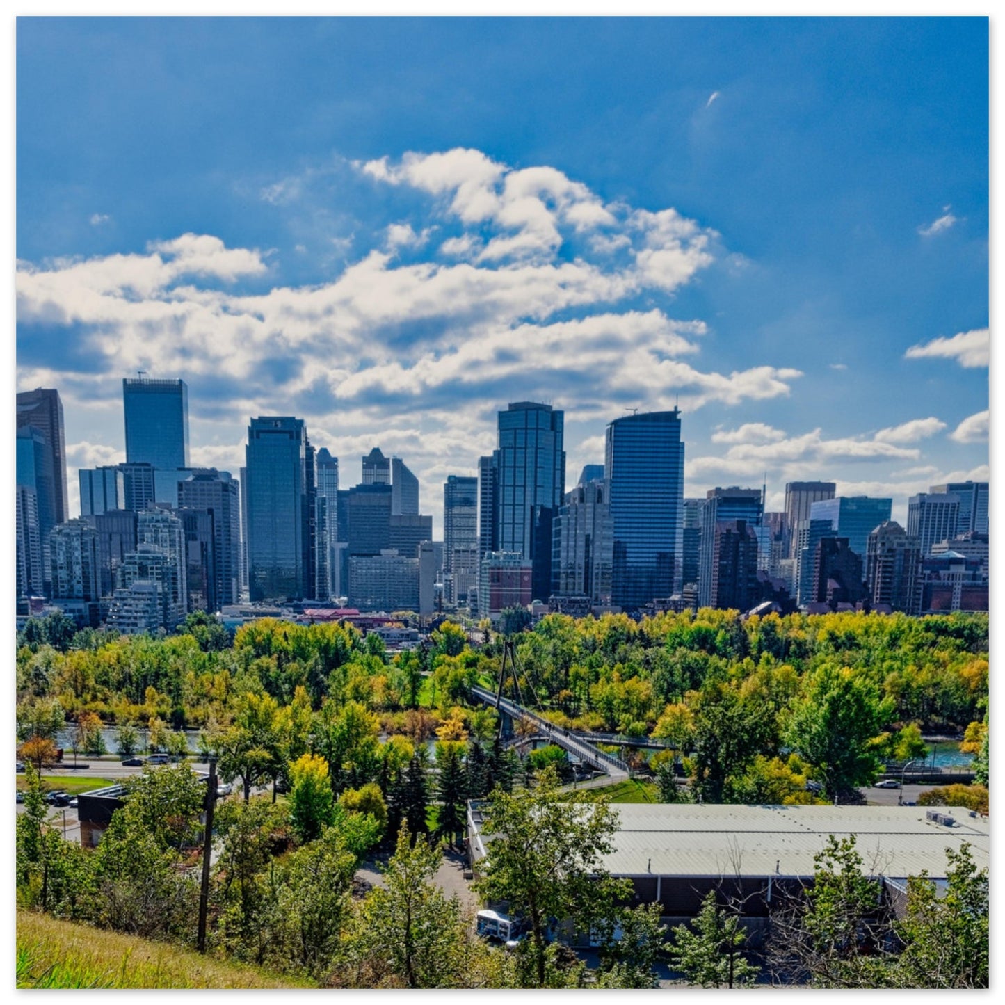 Premium Semi-Glossy Poster Print - Downtown Calgary McHugh Bluff Fall