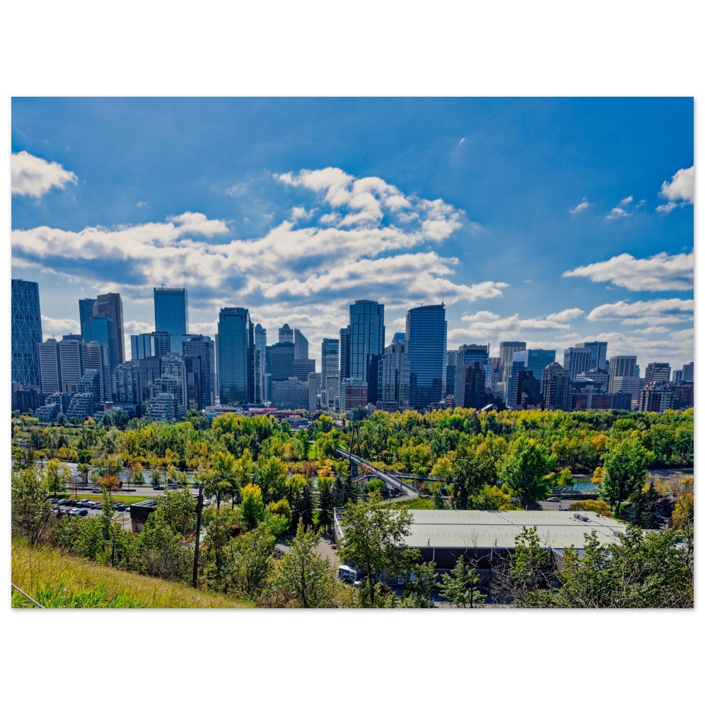 Foam Print - Downtown Calgary McHugh Bluff Fall