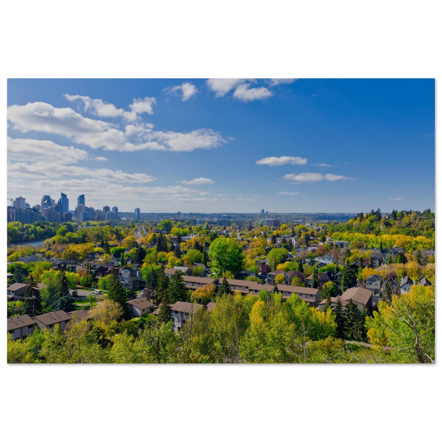 Premium Semi-Glossy Poster Print - McHugh Bluff Fall