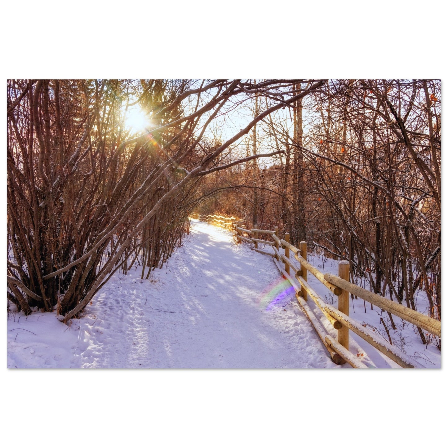 ae457f86-8cec-4773-acbc-5e63418600ff