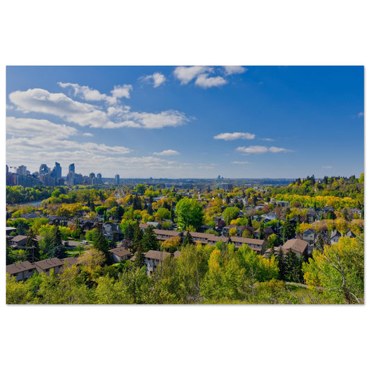 Foam Print - McHugh Bluff Fall