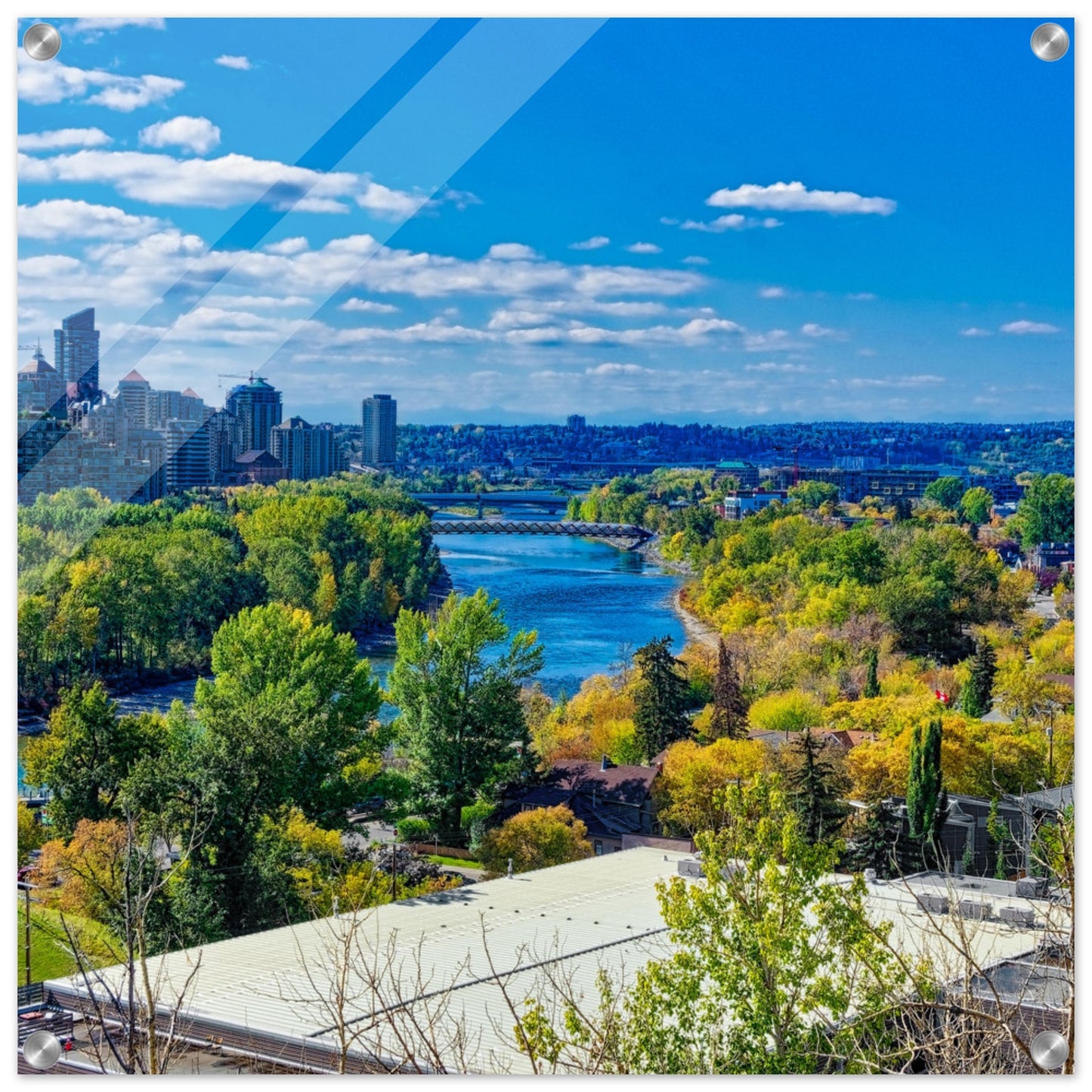 Acrylic Print - Bow River Peace Bridge McHugh Bluff HDR