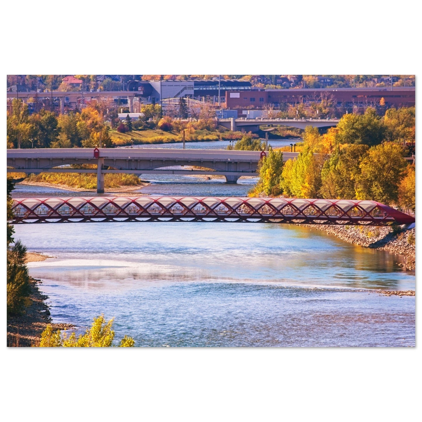 Premium Semi-Glossy Poster Print - Peace Bridge McHugh Bluff