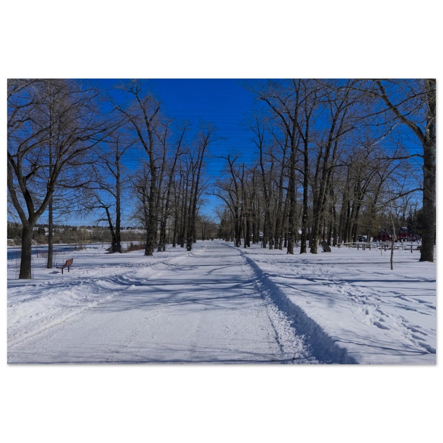 b4231fde-0390-4bb6-b095-3e509c13f0e5