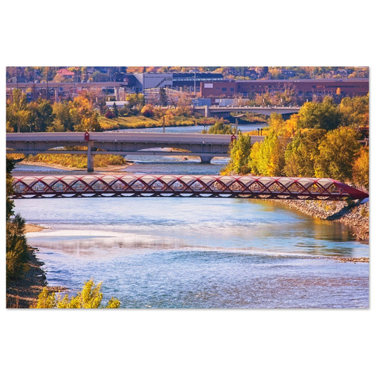 b4a0d606-d9b8-4097-8004-ae5c1b29e1ac