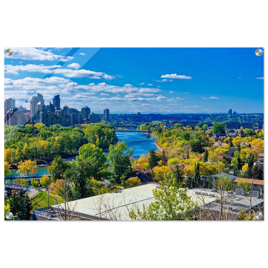 Acrylic Print - Bow River Peace Bridge McHugh Bluff HDR