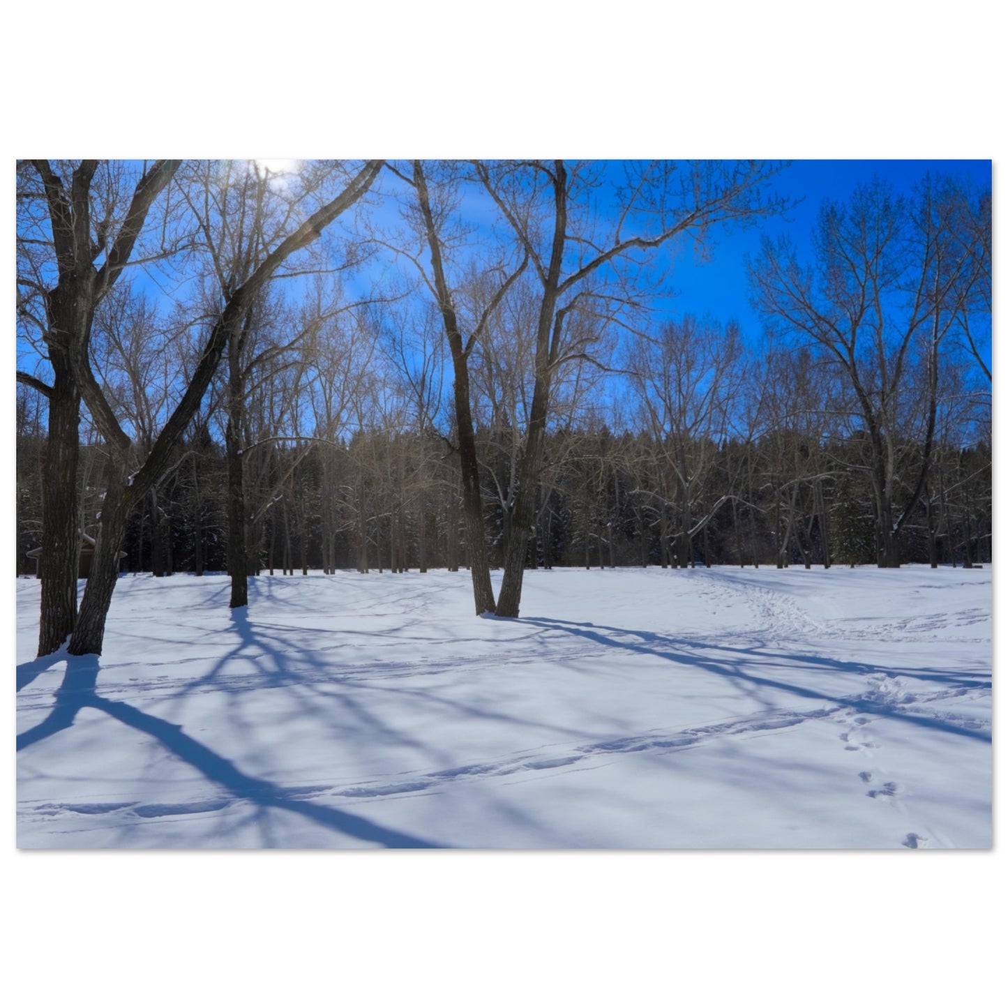 b7a0d19f-a515-444a-b035-01638c856770