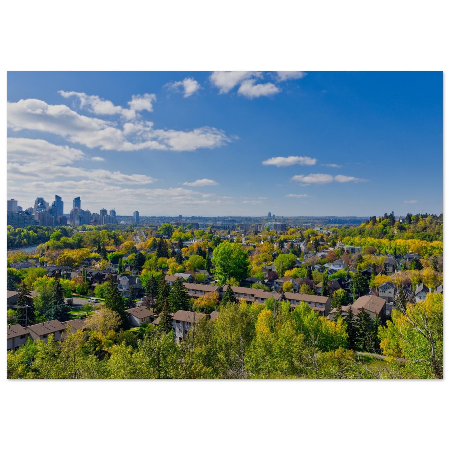 Premium Semi-Glossy Poster Print - McHugh Bluff Fall