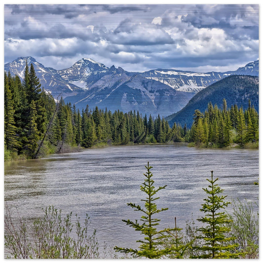 b920feb1-46ea-4e62-9c65-86cf016bc87b