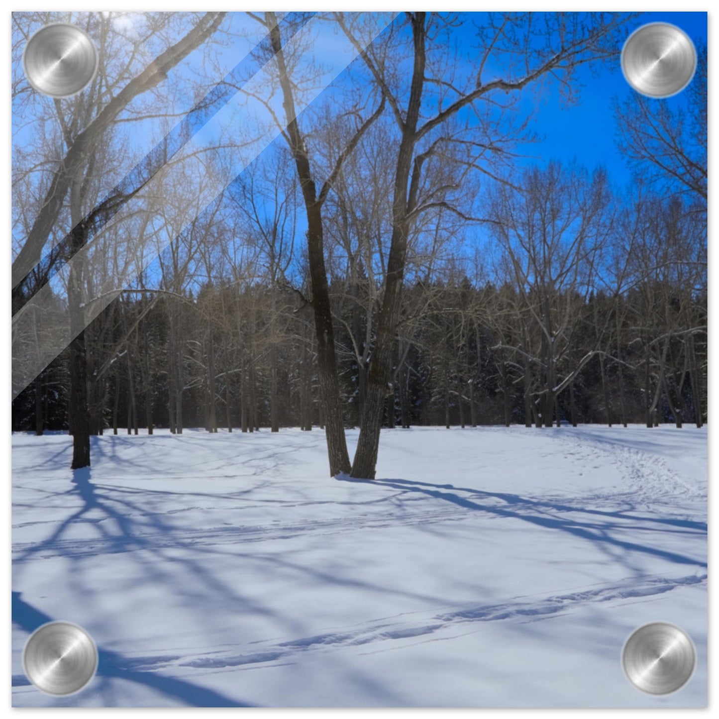 ba5939a9-e60e-4ee9-9534-e7f7ef12643e