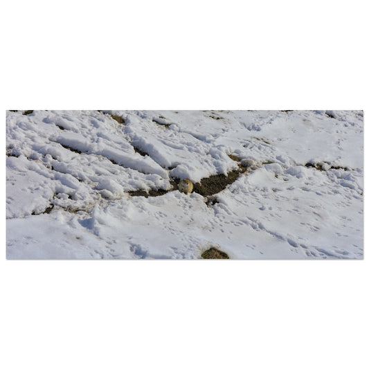 bb393c41-ca49-41e5-a005-cb708ed88556