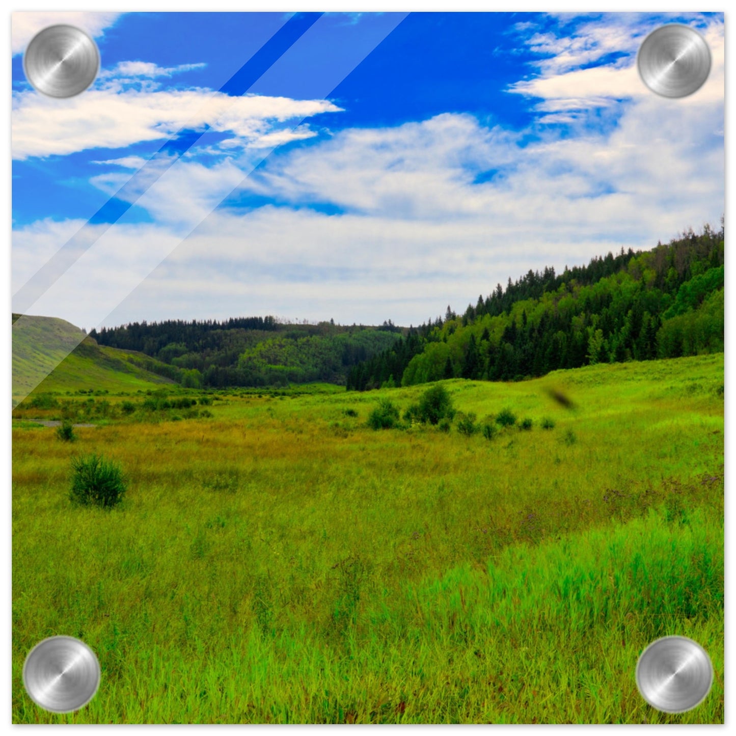 bd5b4e10-6f43-4ef5-8df5-edaa7c975eb5