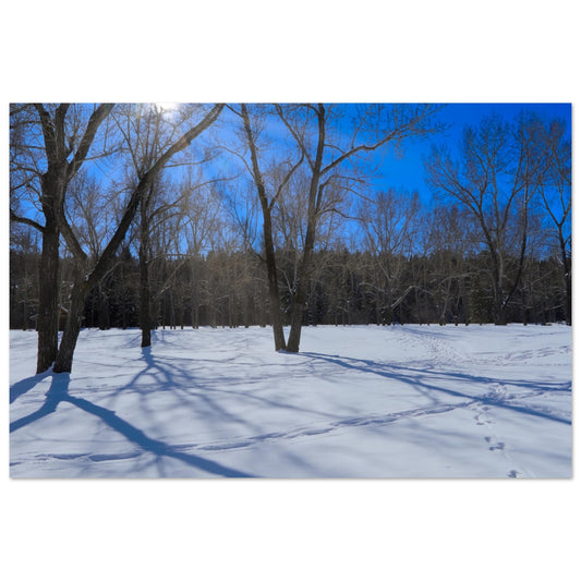 be15772b-6c2f-42af-94ed-87e6142e5337