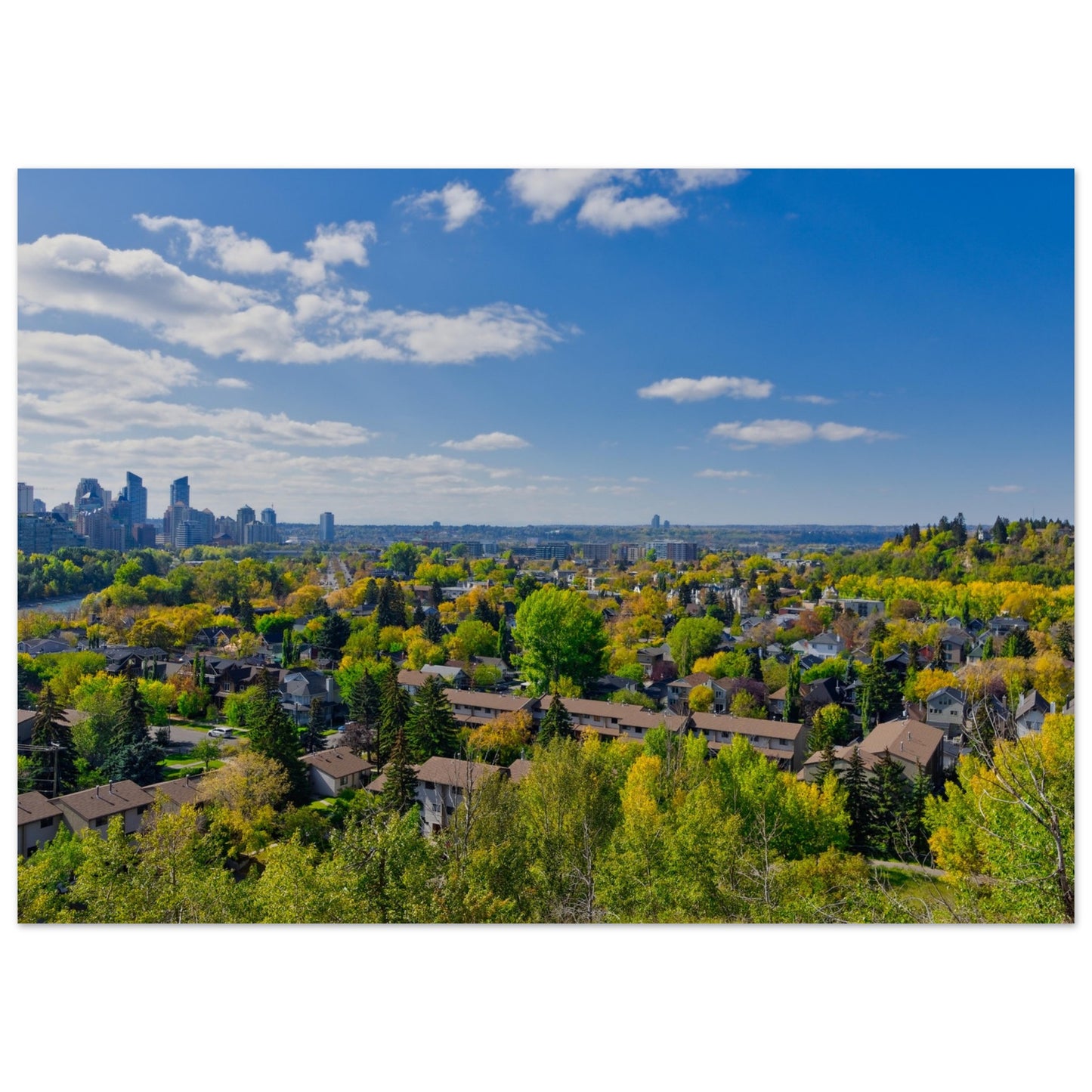 Premium Semi-Glossy Poster Print - McHugh Bluff Fall