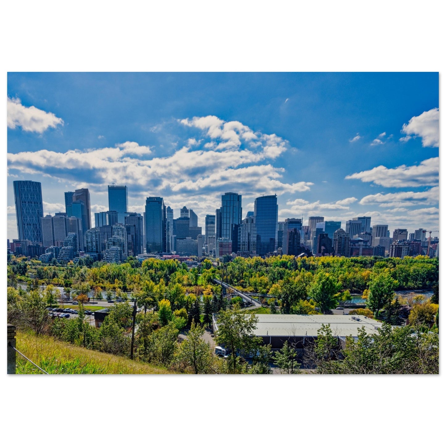Premium Semi-Glossy Poster Print - Downtown Calgary McHugh Bluff Fall