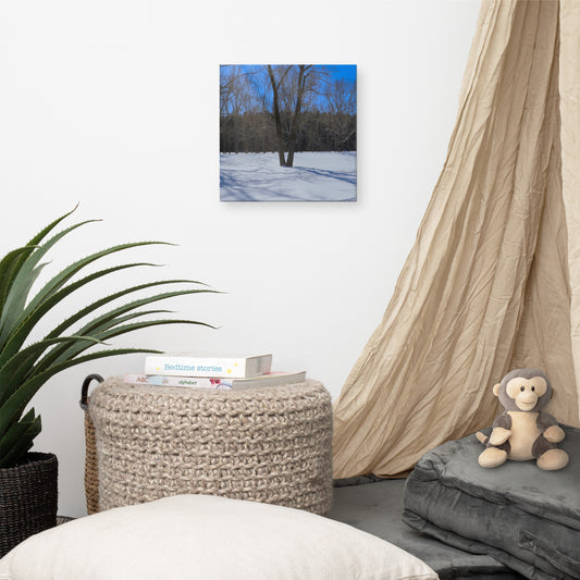 Canvas Prints - Bowness Park Field Winter