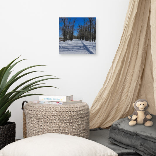 Canvas Print - Bowness Park Pathway Winter