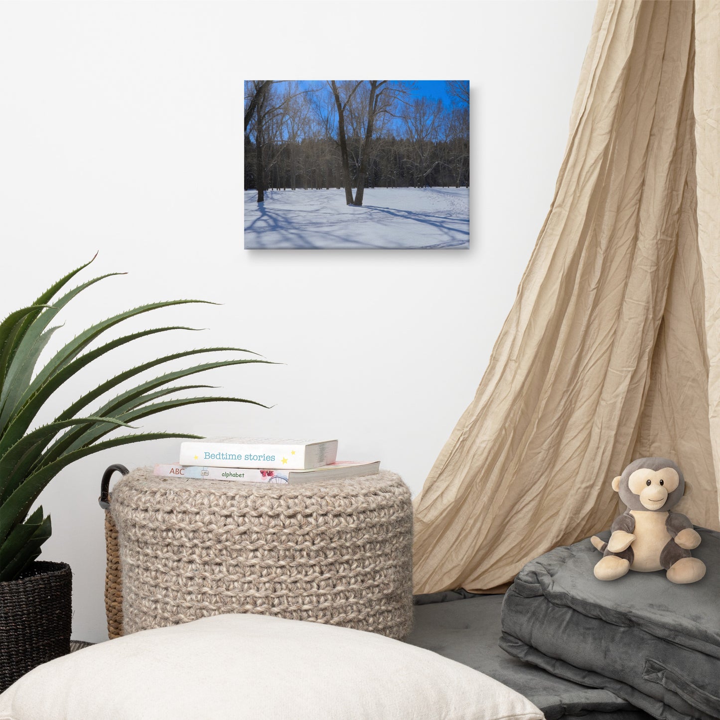 Canvas Prints - Bowness Park Field Winter