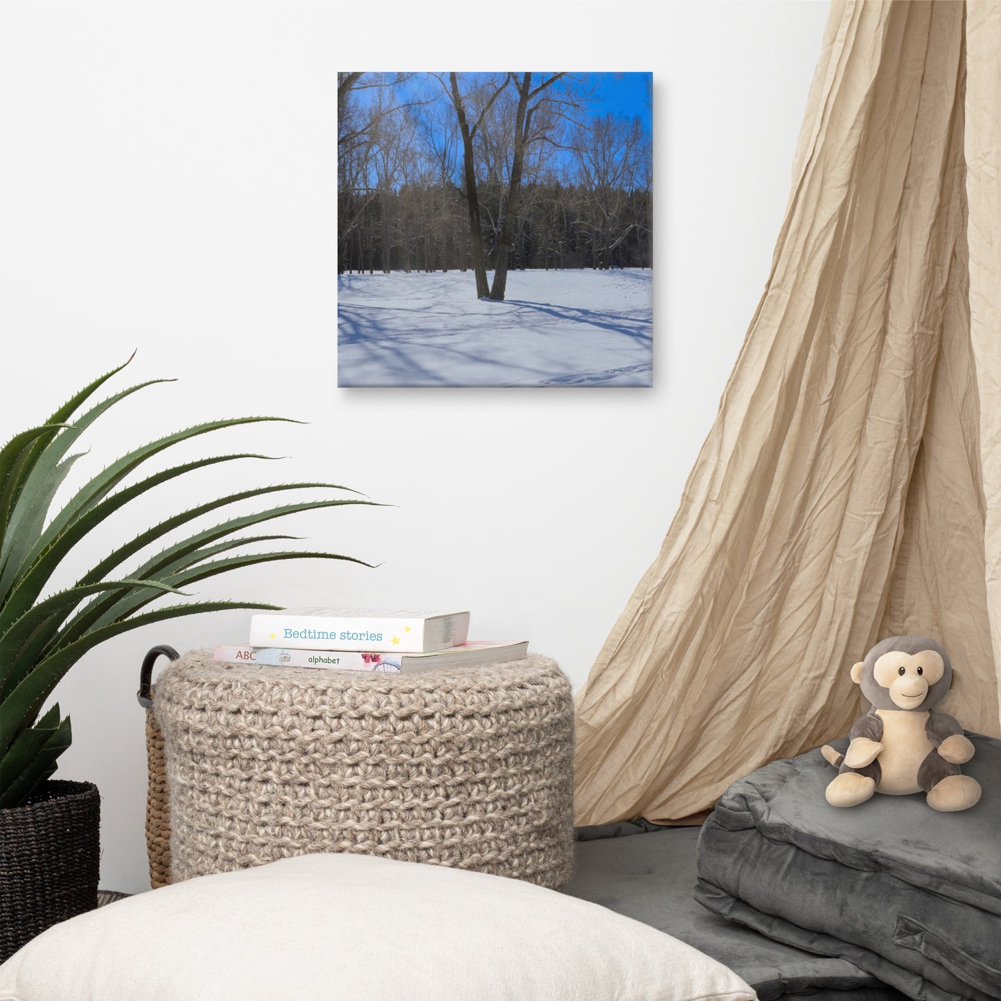 Canvas Prints - Bowness Park Field Winter