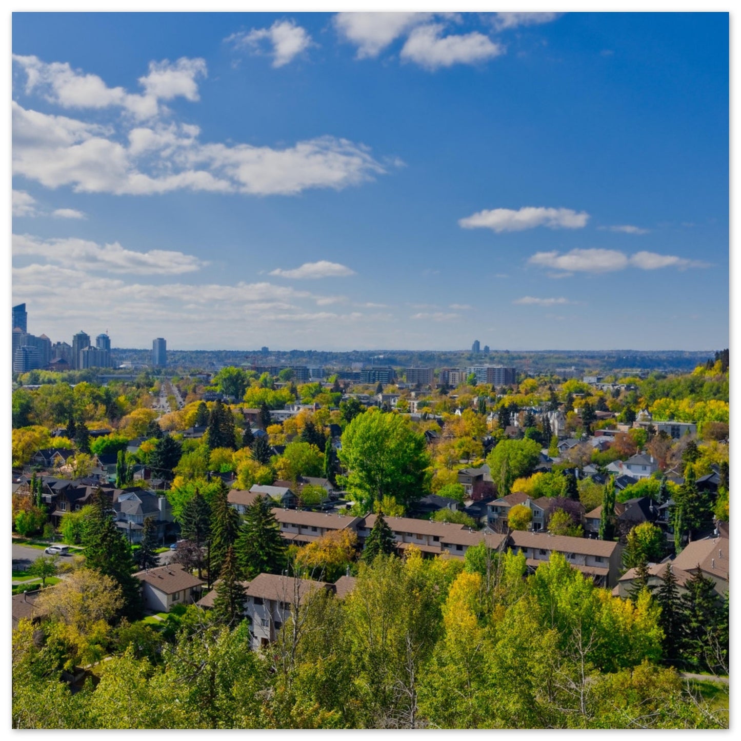 Premium Semi-Glossy Poster Print - McHugh Bluff Fall