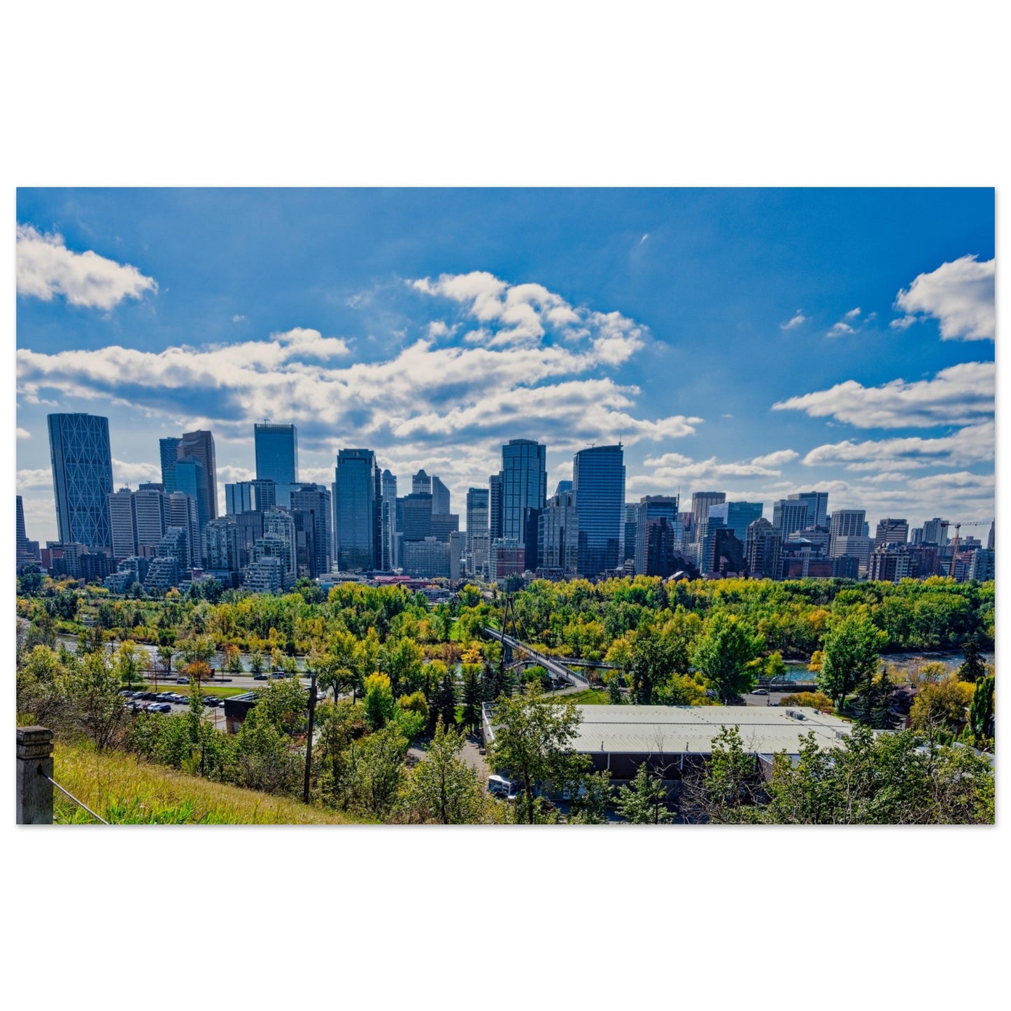 Premium Semi-Glossy Poster Print - Downtown Calgary McHugh Bluff Fall
