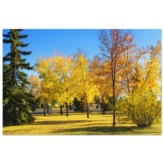 cf19d35e-d170-48eb-a54f-e68696f6a63b