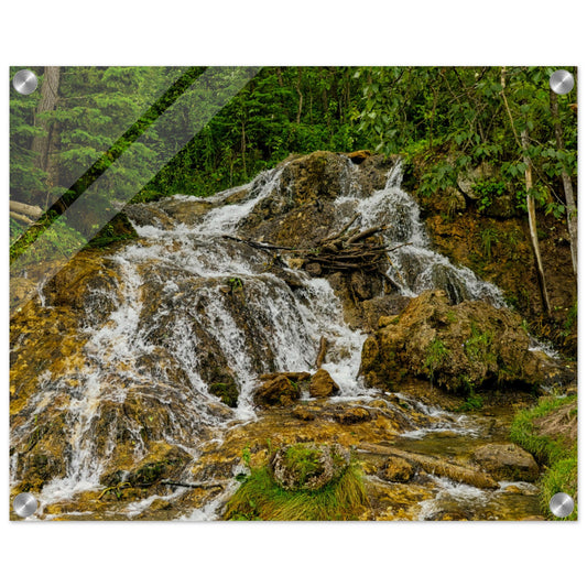 cf9dae81-b05d-462e-96ae-e8317b96cea2