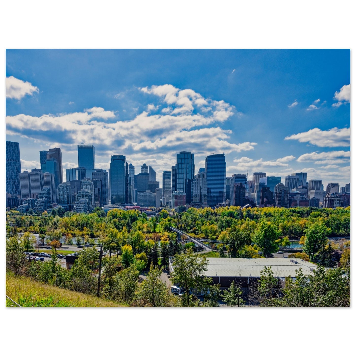 Foam Print - Downtown Calgary McHugh Bluff Fall