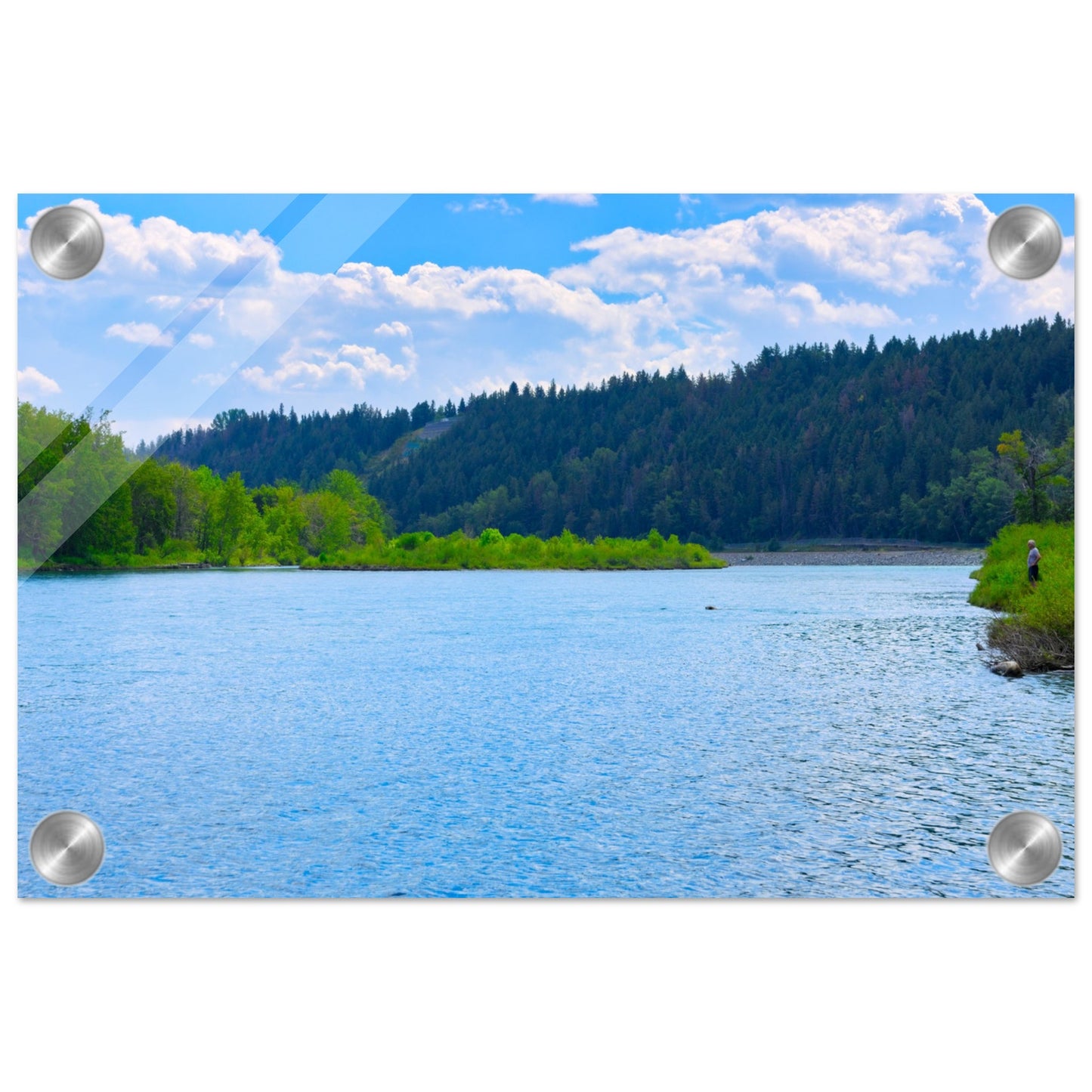 d0dc1d20-7c9e-41b5-abd8-dcc7f53a29ed