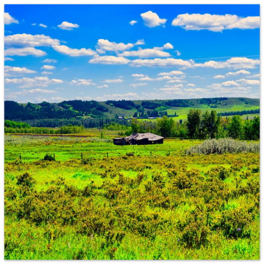 d10325ae-ea33-4460-91a7-24c37ca755cb