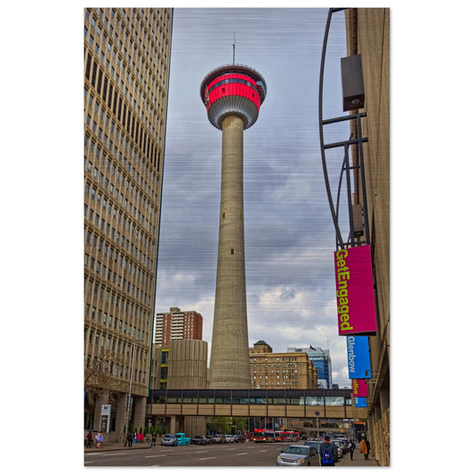 d1d53dce-e4c5-4166-bfa9-5fd472602071