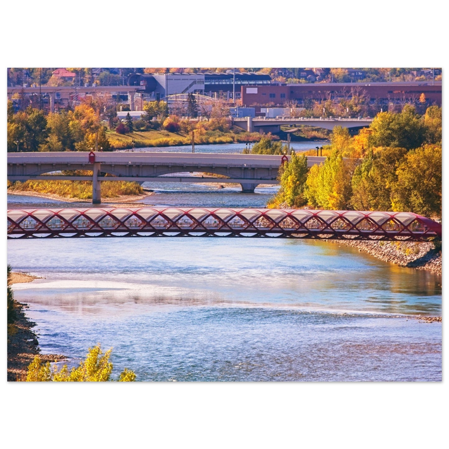 Premium Semi-Glossy Poster Print - Peace Bridge McHugh Bluff