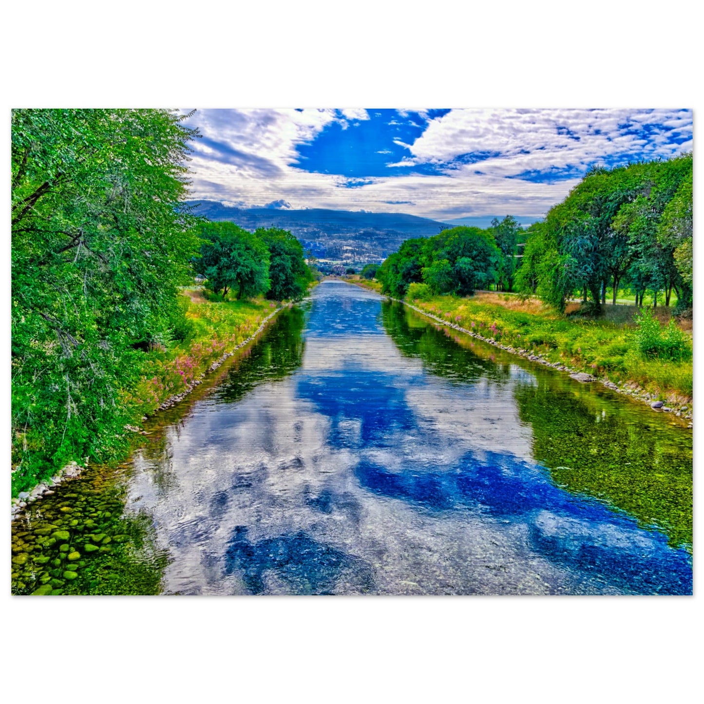 d47426c1-6069-4c07-bb03-e90e000f7a94