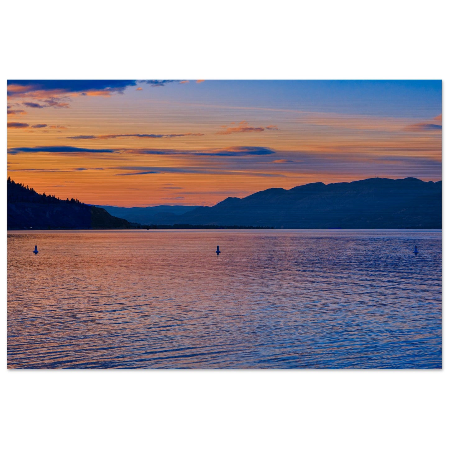 d4b816bc-9f68-4f6e-99d8-3ccd091f4b91